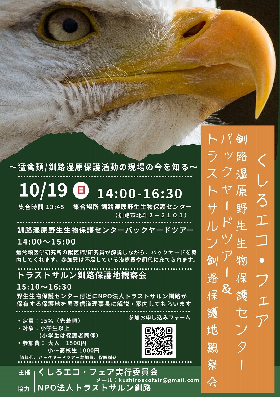 フィールドワークちらし